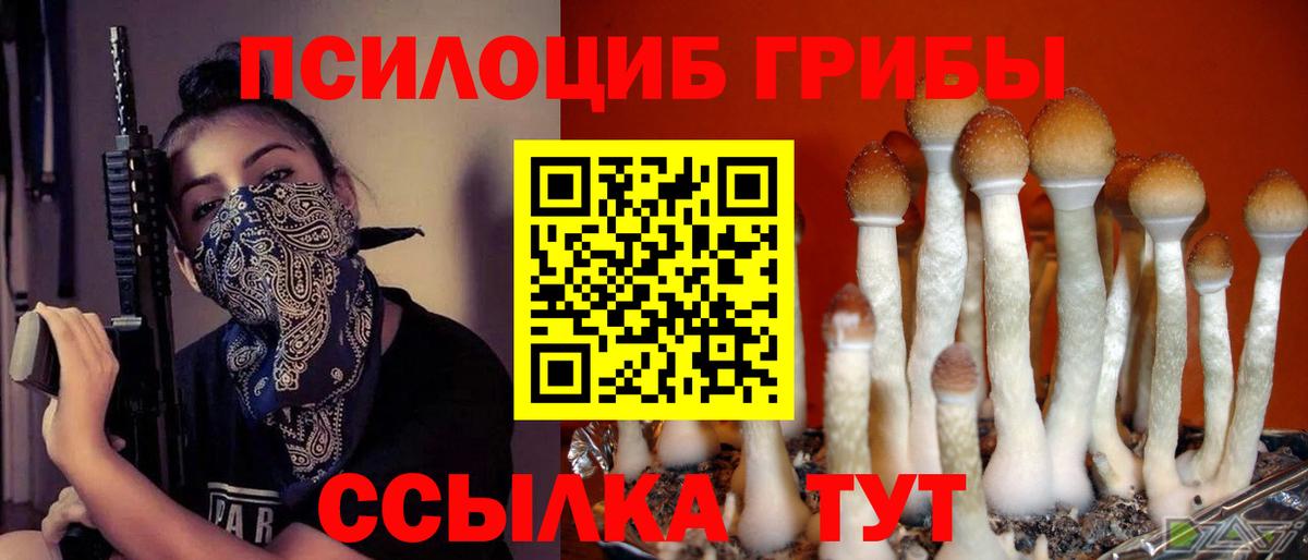 Псилоцибиновые грибы Magic Shrooms  закладка  Кизляр  Вход с VPN 